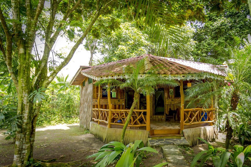 Hotel La Costa De Papito Puerto Viejo de Talamanca Номер фото
