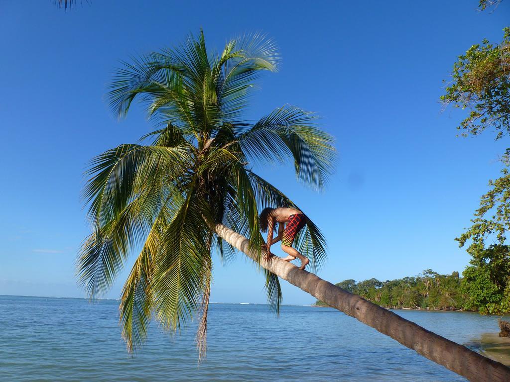 Hotel La Costa De Papito Puerto Viejo de Talamanca Екстер'єр фото