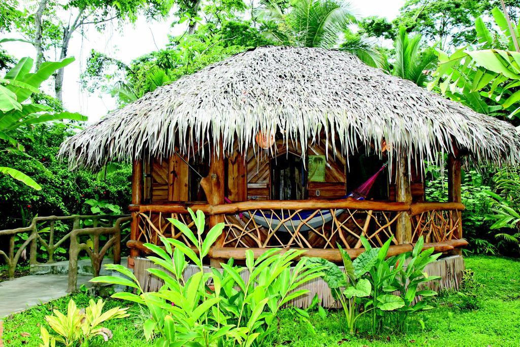 Hotel La Costa De Papito Puerto Viejo de Talamanca Екстер'єр фото