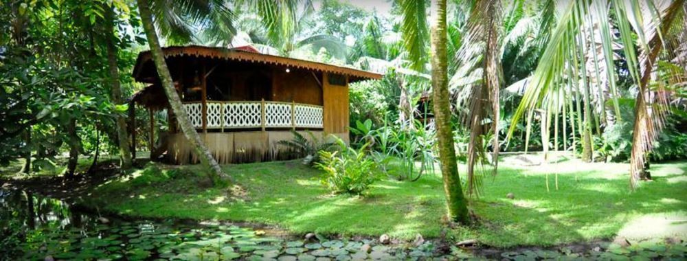 Hotel La Costa De Papito Puerto Viejo de Talamanca Екстер'єр фото